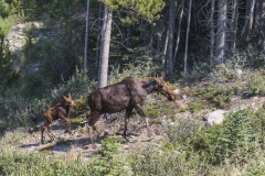 NordAmerica2015-053