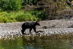 Kynoch Inlet
